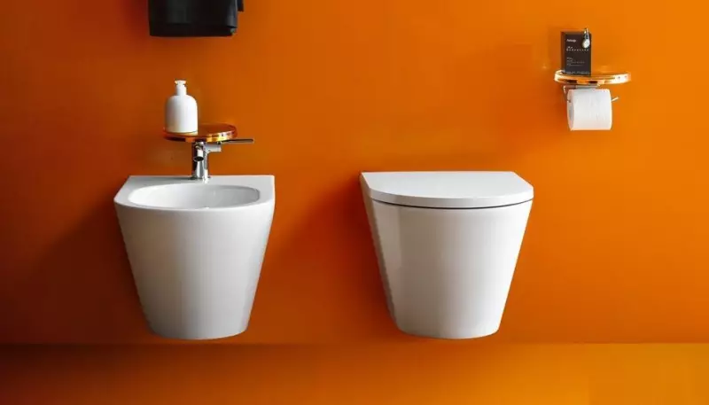 Бездомна тоалетна - Избор на инсталация