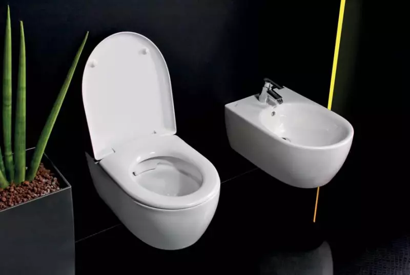 Bernelloses WC - von der Auswahl der Installation