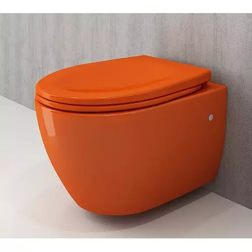 Bearless toilet - from choosing to installation