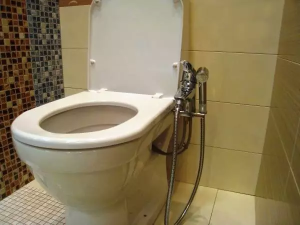 Tualetas su higieniniu dušu