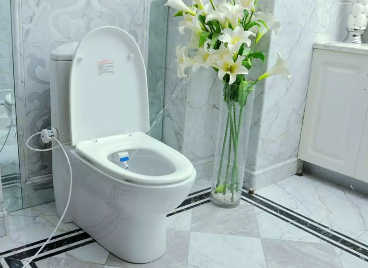 Toilet with hygienic shower