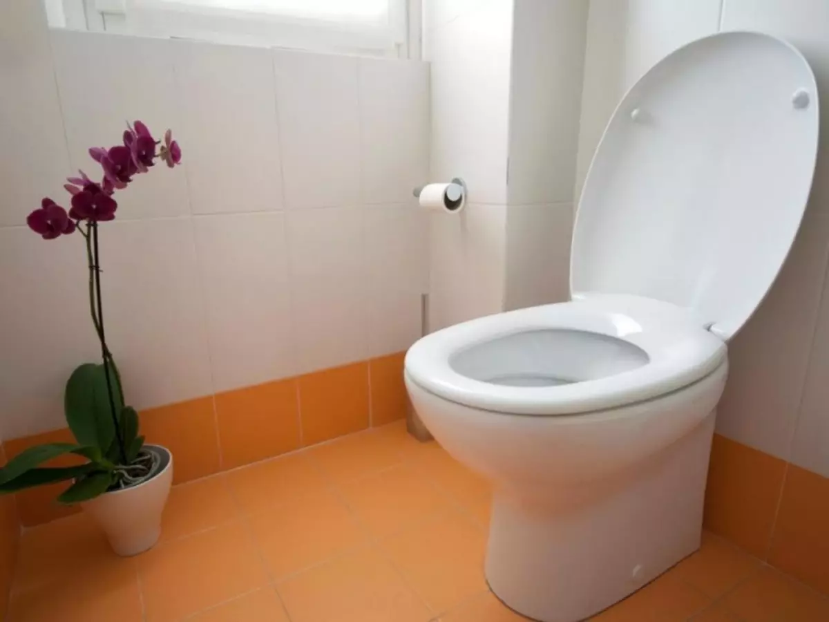 Buitelug toilet