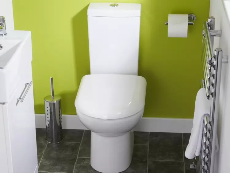 שירותים קומפקטיים - פתרון אידיאלי לשירותים קטנים