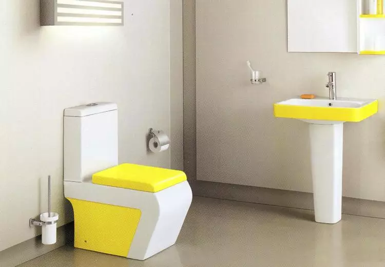 Kompakte toilet - 'n ideale oplossing vir 'n klein badkamer