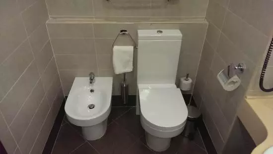 Compact Toilet - mhinduro yakakodzera yekugezera diki