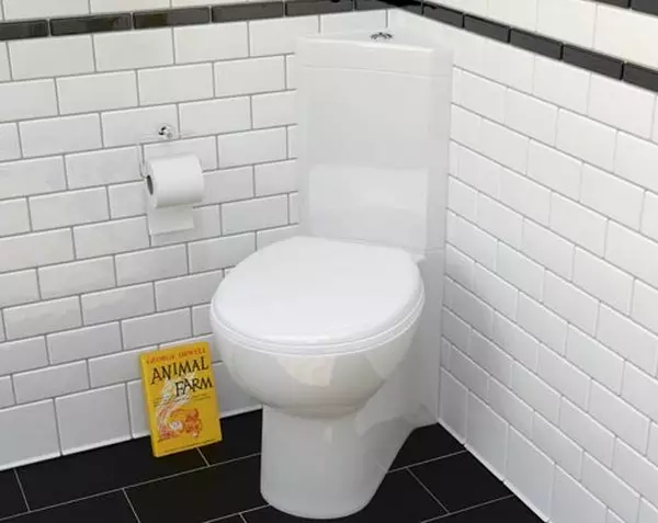 Kompakte toilet - 'n ideale oplossing vir 'n klein badkamer