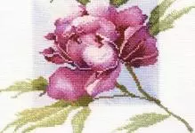 Cross-Embroidery Peony: Mga scheme at itinakda para sa pagbuburda, libreng pag-download, plorera at larawan, Riolis palumpon, ibig sabihin