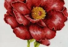 Crossict-embroidery peony: Shirya makirci da saita don embroidery, free download, vase da hoto, riolis bouquet, ma'ana