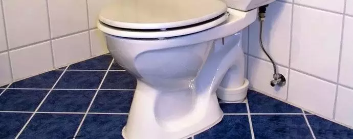 Toiletbakken met verticale release