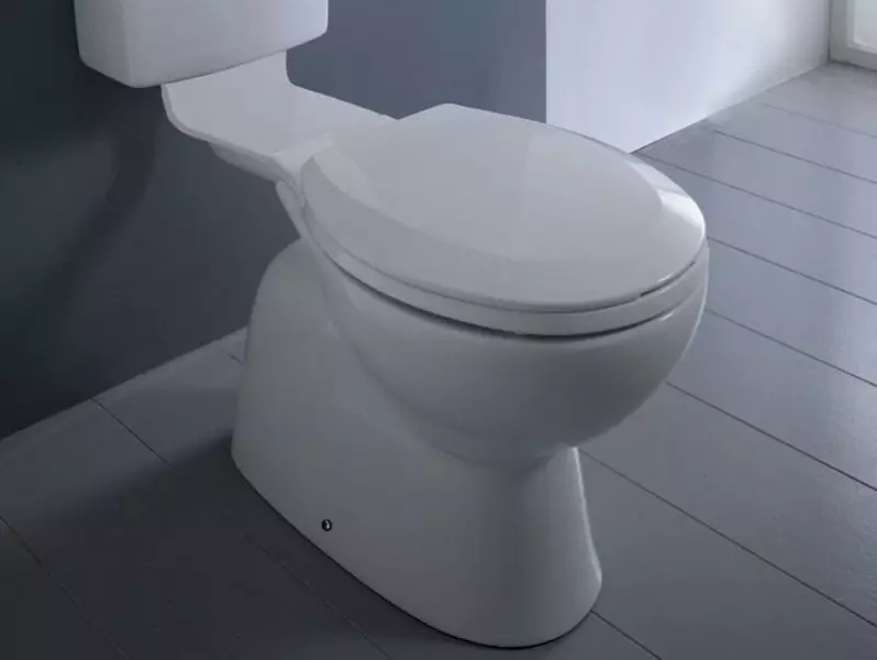 Toilettenschüsseln mit vertikaler Freisetzung