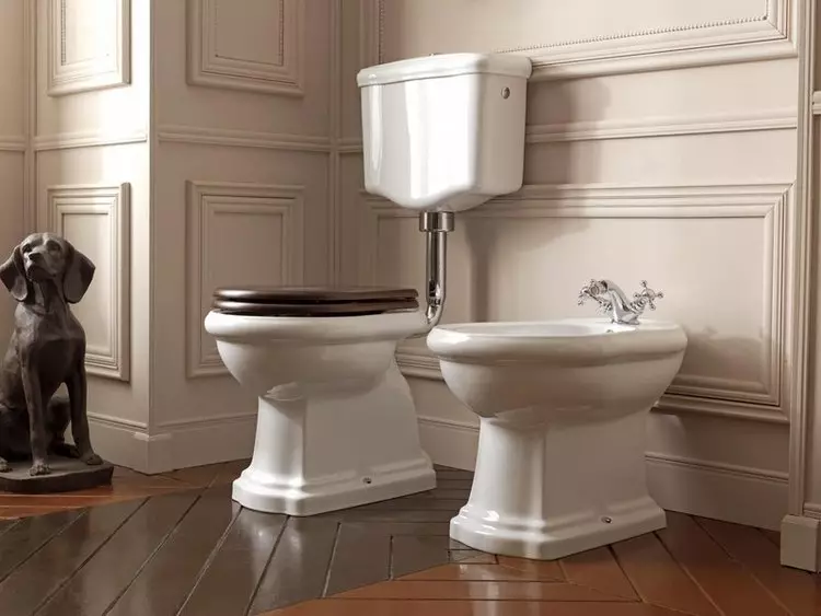 Ierīces tvertnes funkcijas tualetes pods un tās uzstādīšana