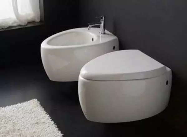 Podwieszana toaleta: Cechy wyboru i instalacji