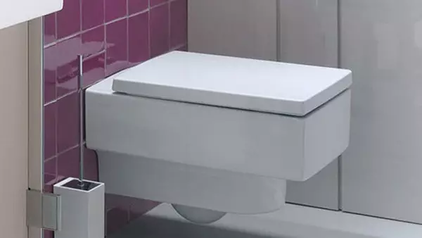 Nhà vệ sinh bị đình chỉ: Các tính năng của sự lựa chọn và cài đặt