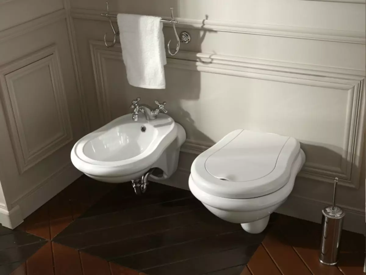 懸掛式廁所：選擇和安裝的特點