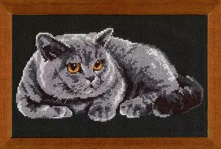 Cross Stitch Cats: Britaj katoj, tegmentaj aroj, ruĝhara kaj nigraj bildoj, foto luno mallaborema kato