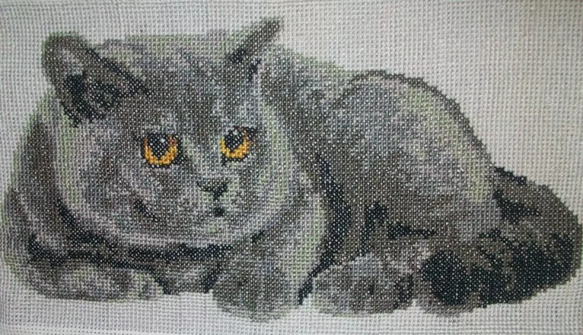 Cross Stitch Cats: Britaj katoj, tegmentaj aroj, ruĝhara kaj nigraj bildoj, foto luno mallaborema kato