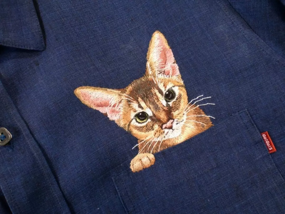 Cross Stitch Cats: Britaj katoj, tegmentaj aroj, ruĝhara kaj nigraj bildoj, foto luno mallaborema kato