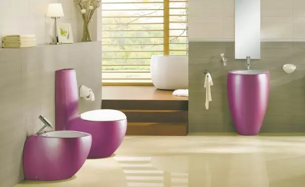 Vaizdo tualetai - stilingos jūsų interjero detalės