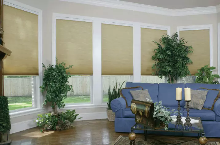 Rolled bamboo curtains in the interior: everything from installation to proper care