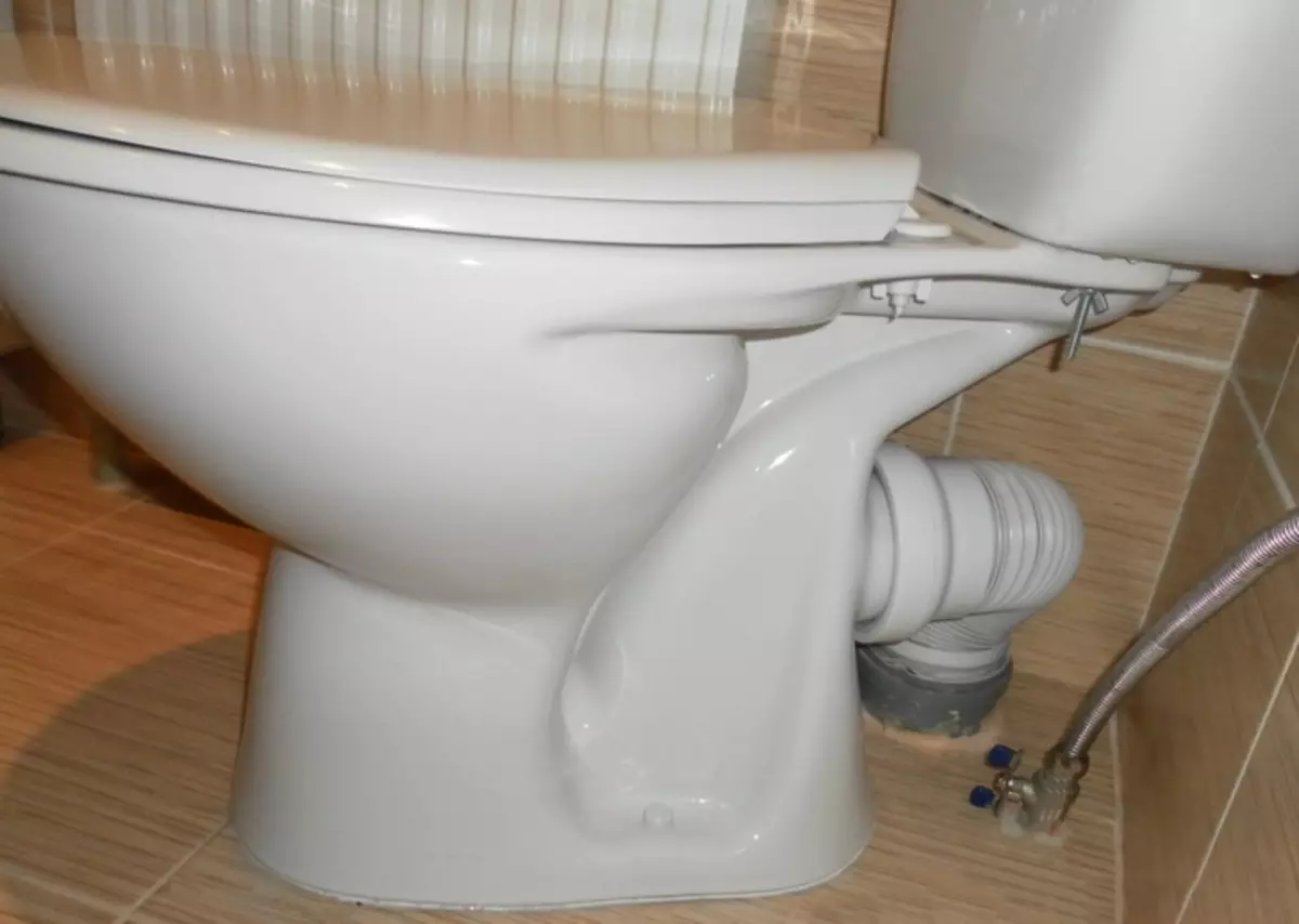 Tarldicular toilet