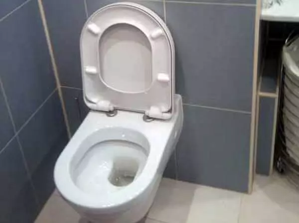 Tarvidecular wc