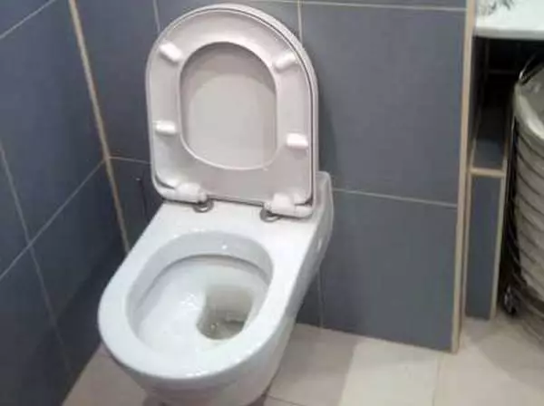 Toilet tarldikular