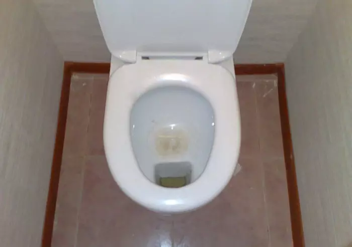 Tarldicular WC