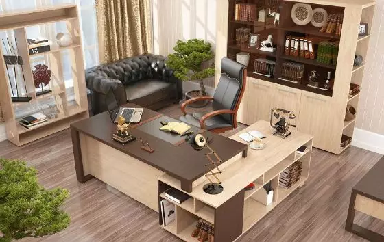 Característiques de l'elecció dels mobles per a l'oficina del cap