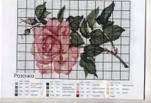 Izikimu zeRoses-stitch roses: Mahhala Wabasaqalayo, itiye evaleni, isimbali kubhasikidi, ukulanda okumhlophe, ophuzi