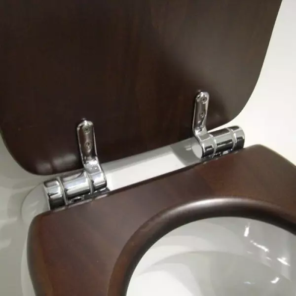 Како да изберете тоалетно седиште со Microlift?
