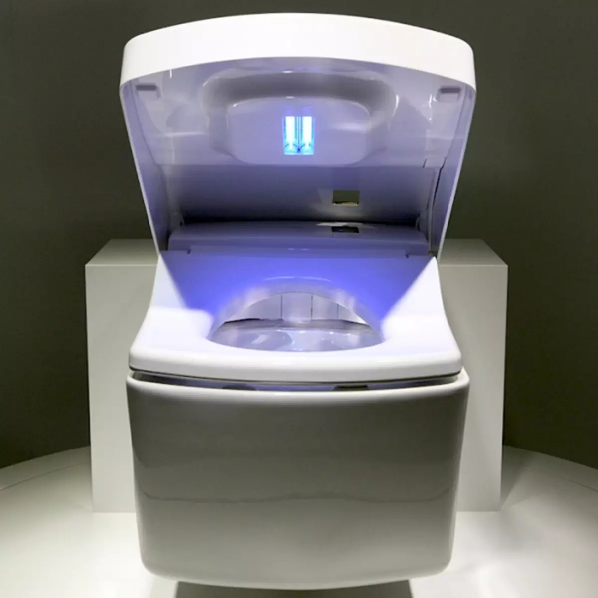 Kako odabrati WC sjedalo s mikroliftom?