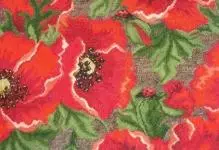 Macên Cross-Embroidery: Diagram ji bo belaş, setên zeviyê poppy, scarlet riothis, li ser black chamomile sor dakêşin