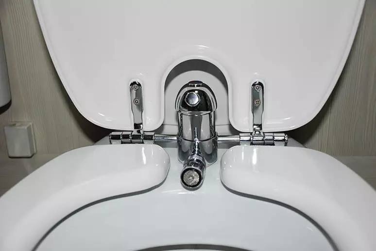 ห้องอาบน้ำฝักบัวที่ถูกสุขอนามัย: คุณสมบัติของการเลือกและการติดตั้ง