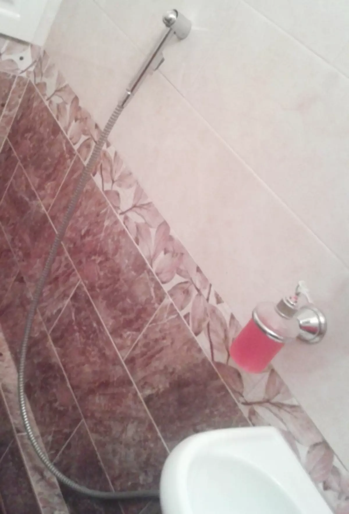 Higieninis dušas: pasirinkimo ir diegimo ypatybės