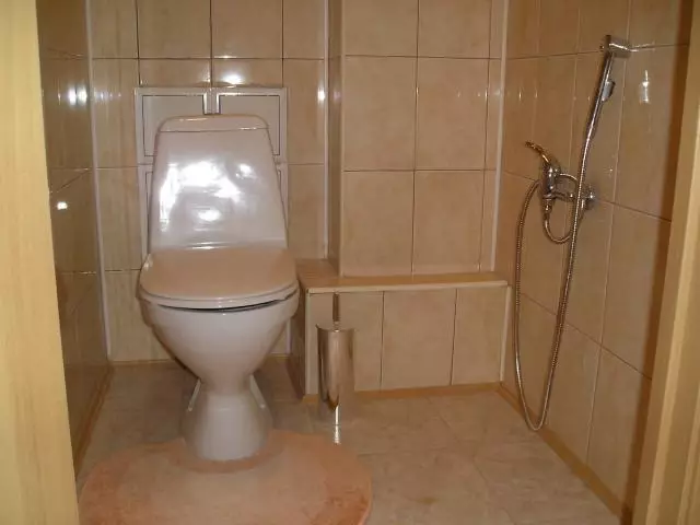 Should I install the shower in the toilet?