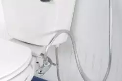 آیا باید دوش را در توالت نصب کنم؟