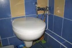 Треба ли да го инсталирам тушот во тоалетот?