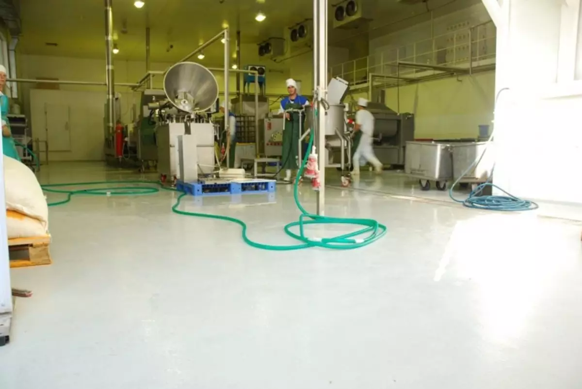 Polyurethane Floors: Bulk coating, semento at polimer, dalawang bahagi na larawan, plates at teknolohiya