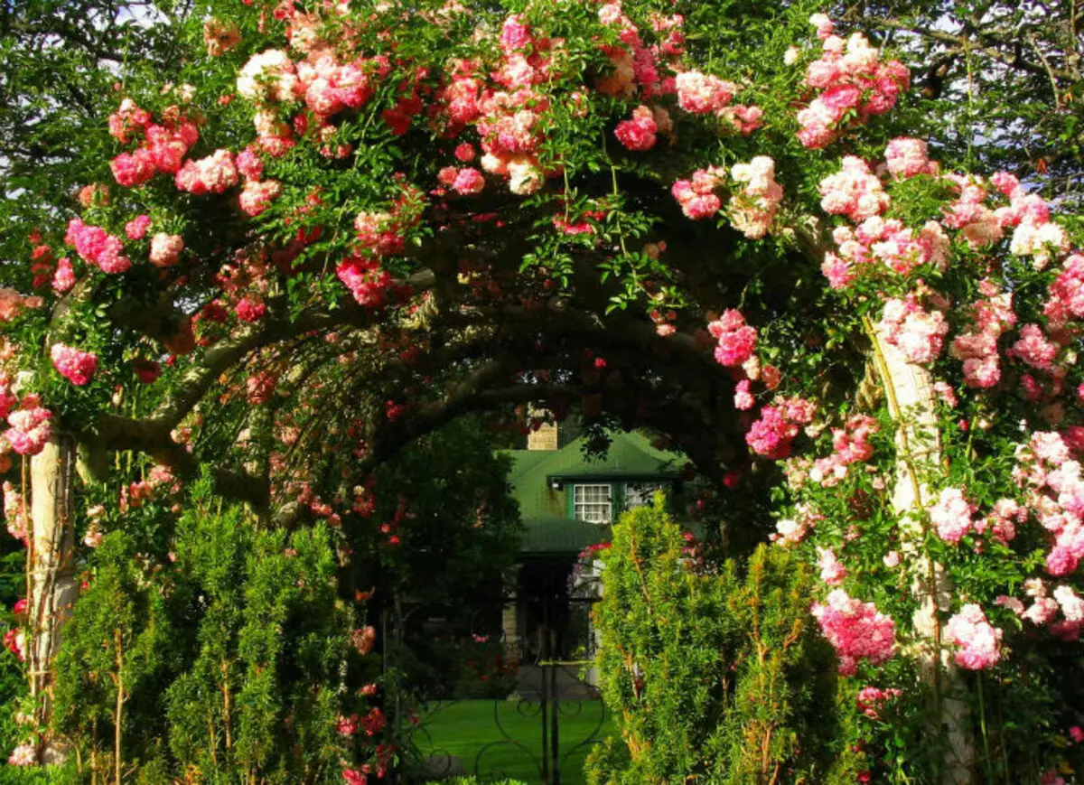 Pergola aus Holz machen es selbst