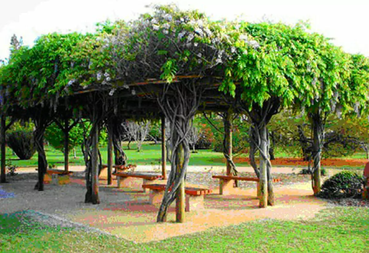 Pergola aus Holz machen es selbst