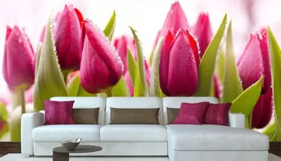Murali tal-ħajt bit-tulipani