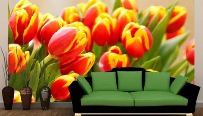 Tulips နှင့်အတူနံရံနံရံ