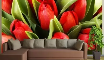 Fotomural con tulipanes.
