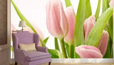 Fotomural com tulipas