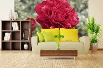 Irin ti odi pẹlu awọn peonies ninu awọn ajọṣepọ igbalode