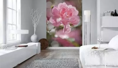 Irin ti odi pẹlu awọn peonies ninu awọn ajọṣepọ igbalode