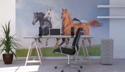 Perete mural cu cai