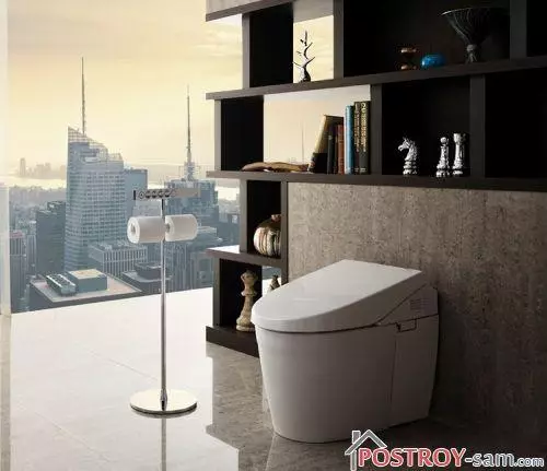 Bidet toilet: views, connection, features, price