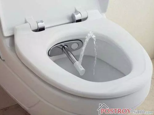 Bidet WC: výhled, připojení, funkce, cena