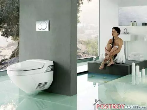 Bidet టాయిలెట్: వీక్షణలు, కనెక్షన్, ఫీచర్లు, ధర